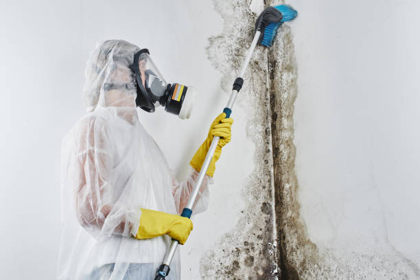 Mold Remediation for Historic Buildings