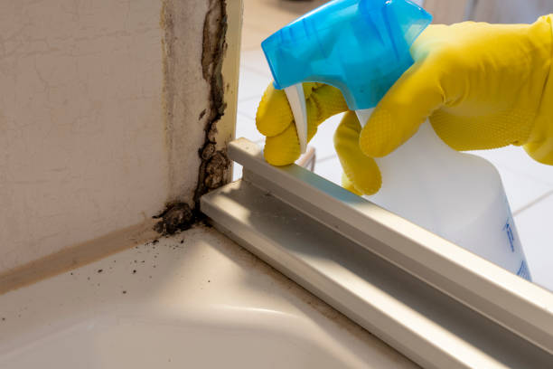 Best Commercial Mold Remediation in Clear Lake, WA