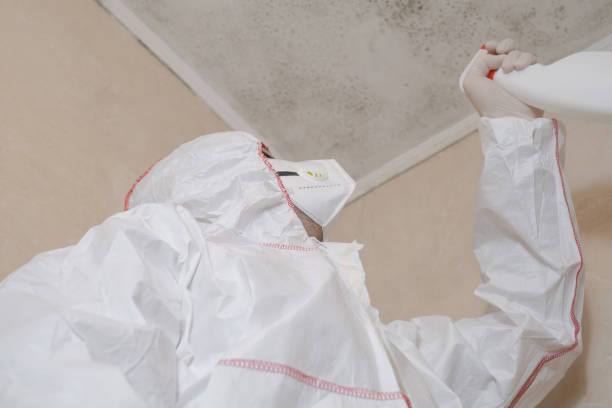 Best Emergency Mold Remediation in Clear Lake, WA